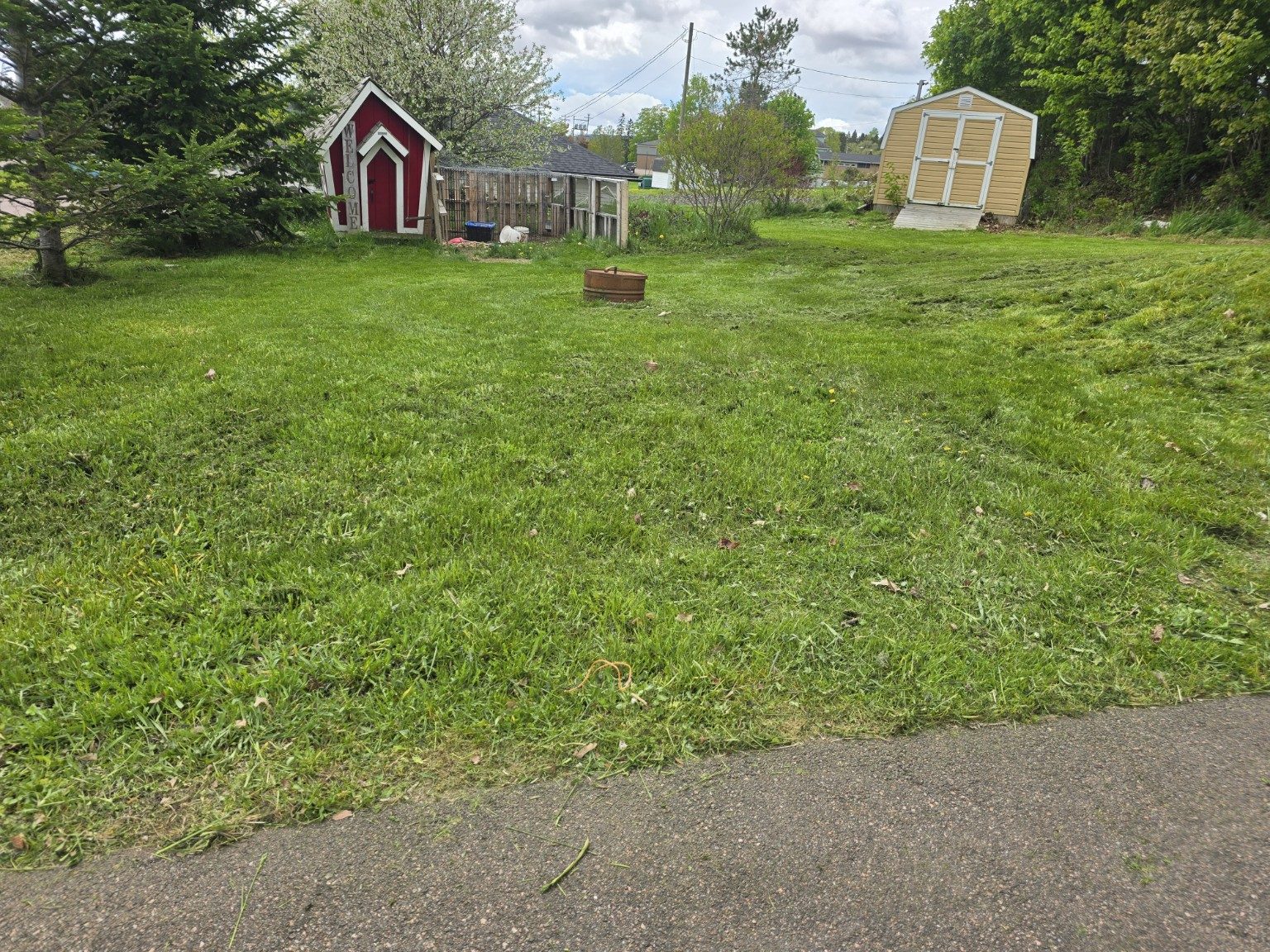 Backyard lawn after mowing